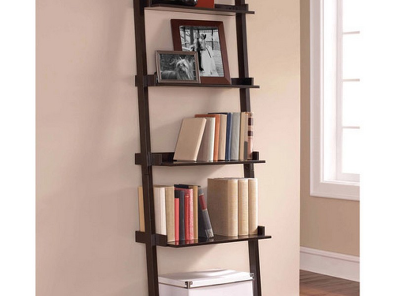 Leaning Shelf Bookcase