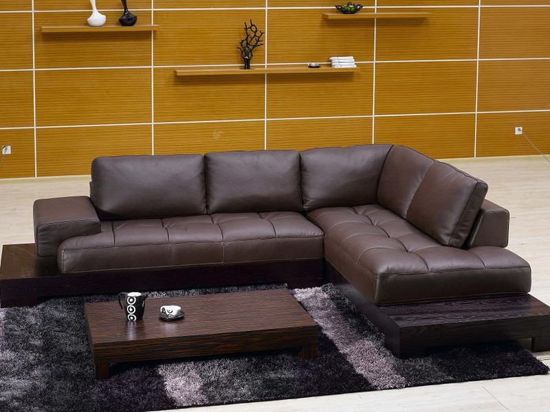 Leather Sectional Couch