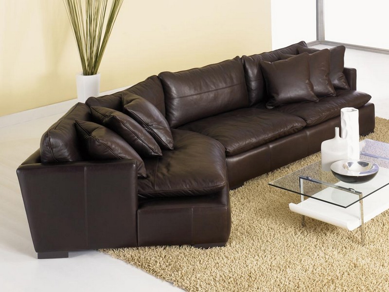 Leather Sectional Couches