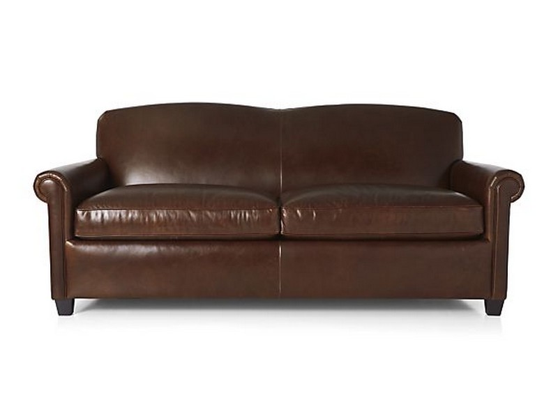 Leather Sleeper Sofa