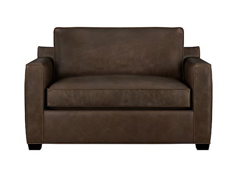 Leather Sleeper Sofas