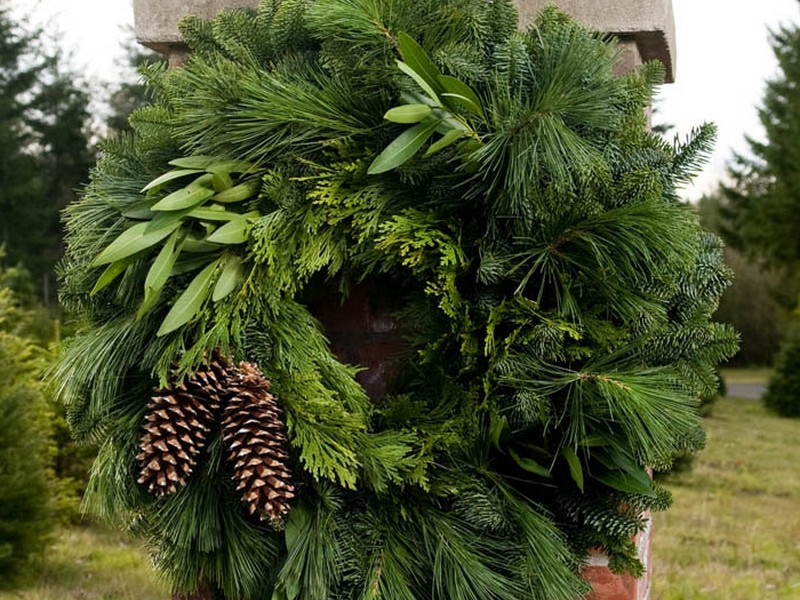 Live Christmas Wreaths