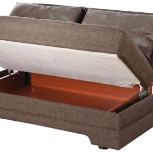 Loveseat Fold Out Bed