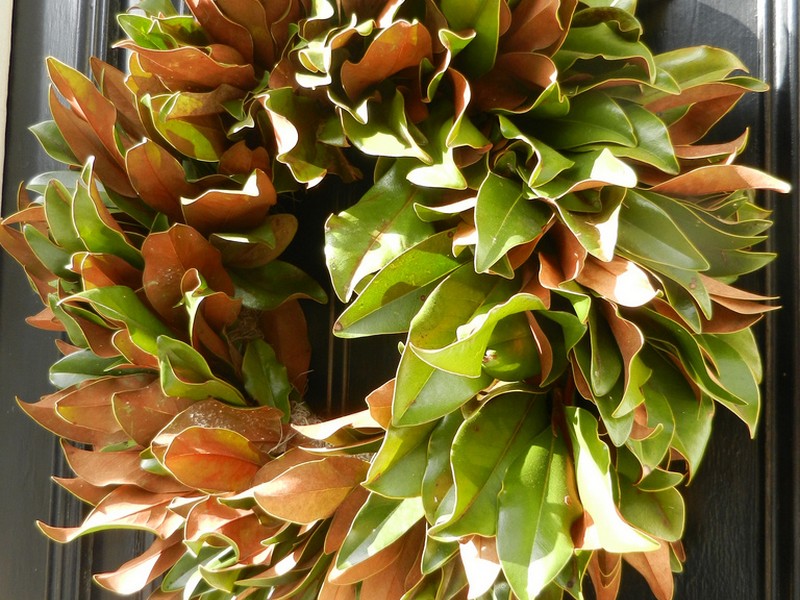 Magnolia Leaf Wreath