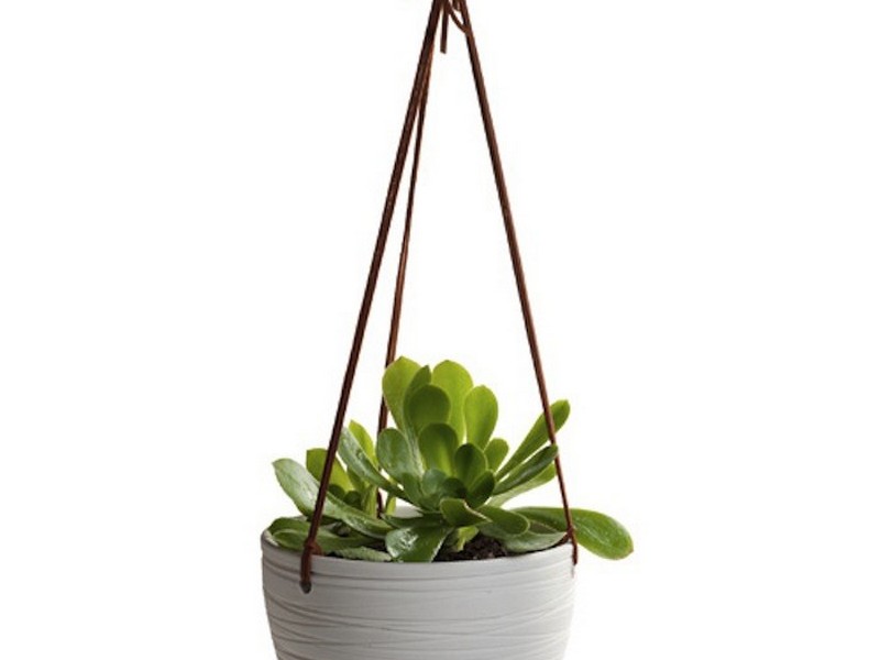 Modern Hanging Planters Australia