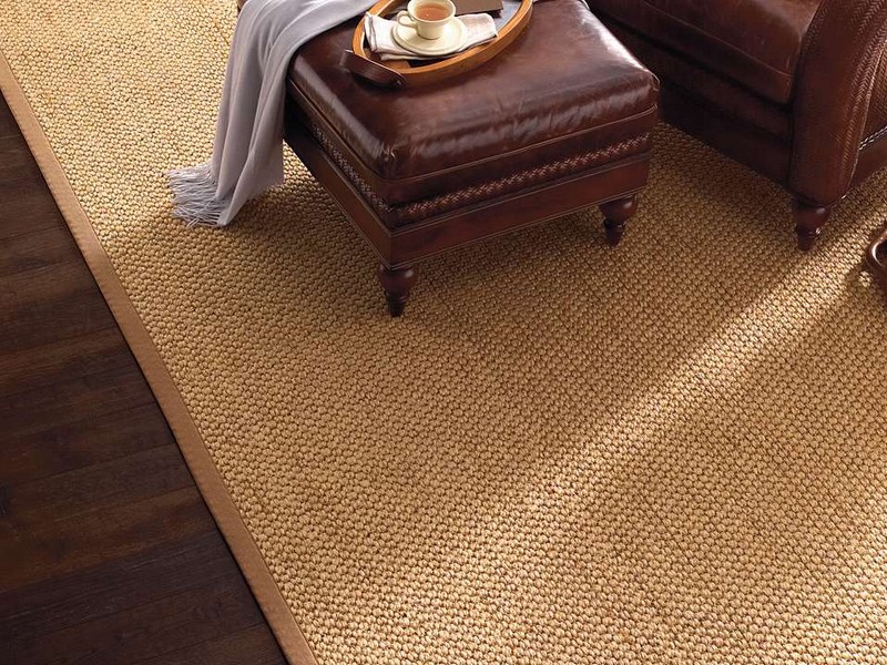 Natural Fiber Area Rugs