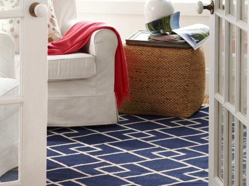 Navy White Rug