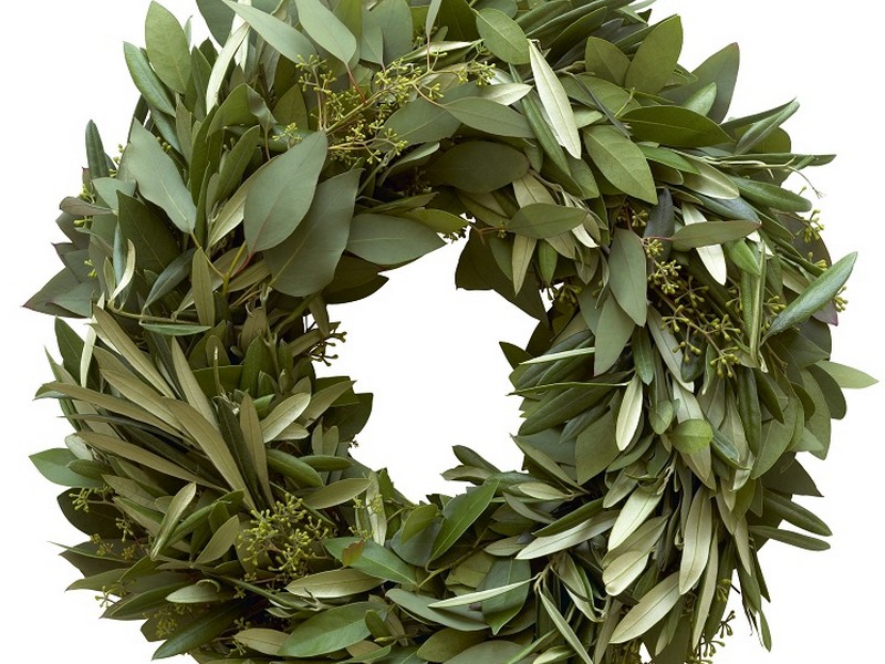 Olive Branch Wreath