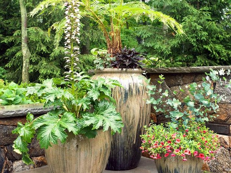 Patio Planter Ideas