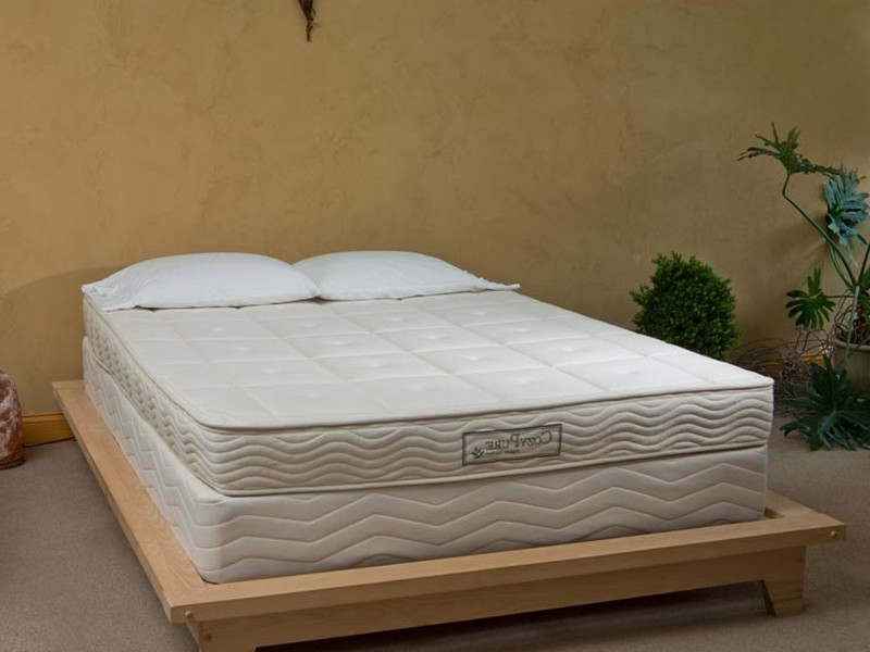 Platform Bed Box Spring Mattress