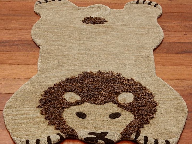 Pottery Barn Kids Rug