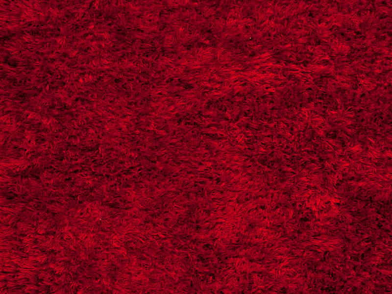 Red Shag Carpet
