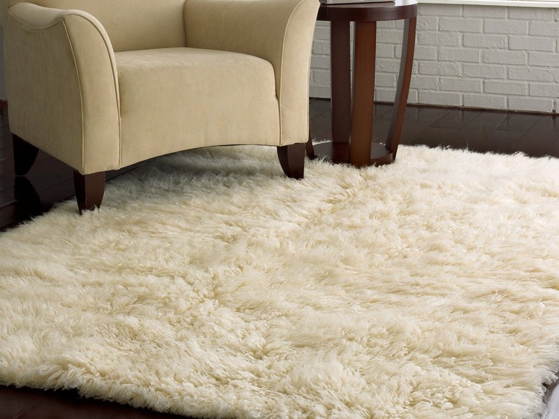 Shaggy White Rug