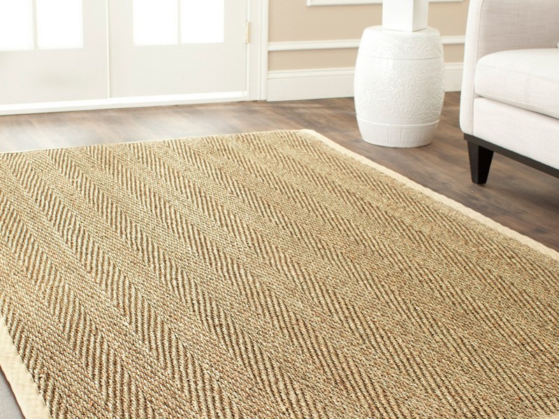 Sisal Area Rugs