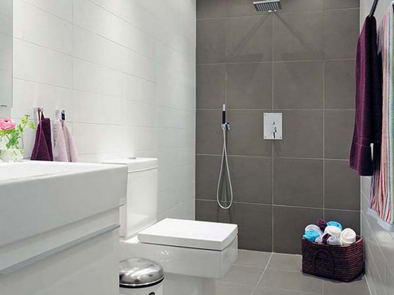 Small Bathroom Remodels Grey