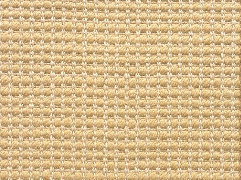 Soft Sisal Rug