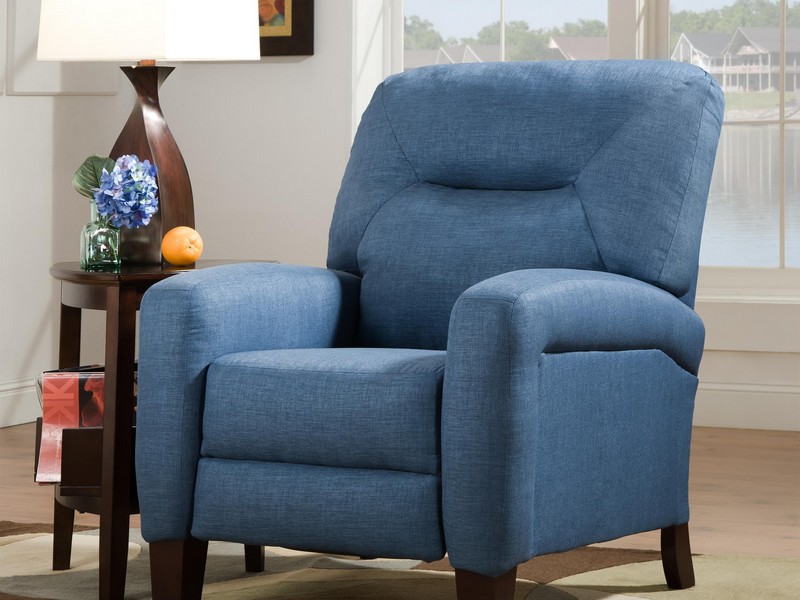 Southern Motion Recliner