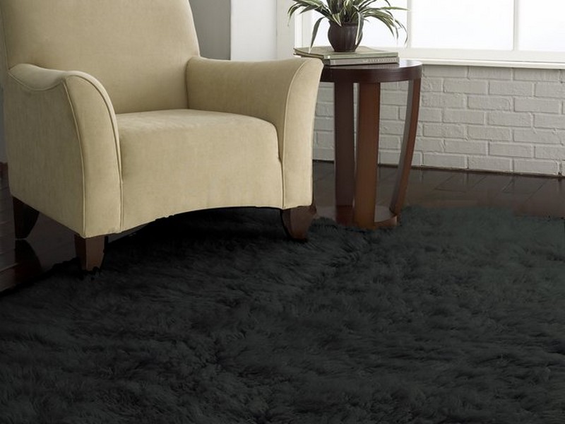 Standard Area Rug Sizes