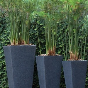 Tall Plant Pots Outdoor