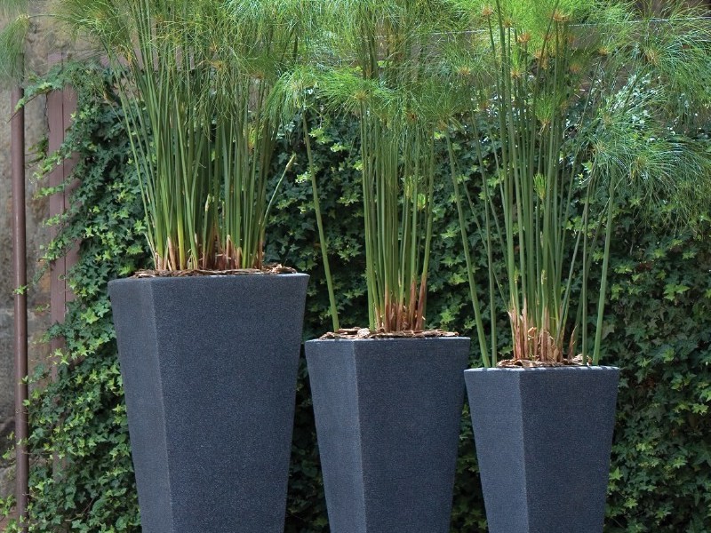 Tall Plant Pots Outdoor