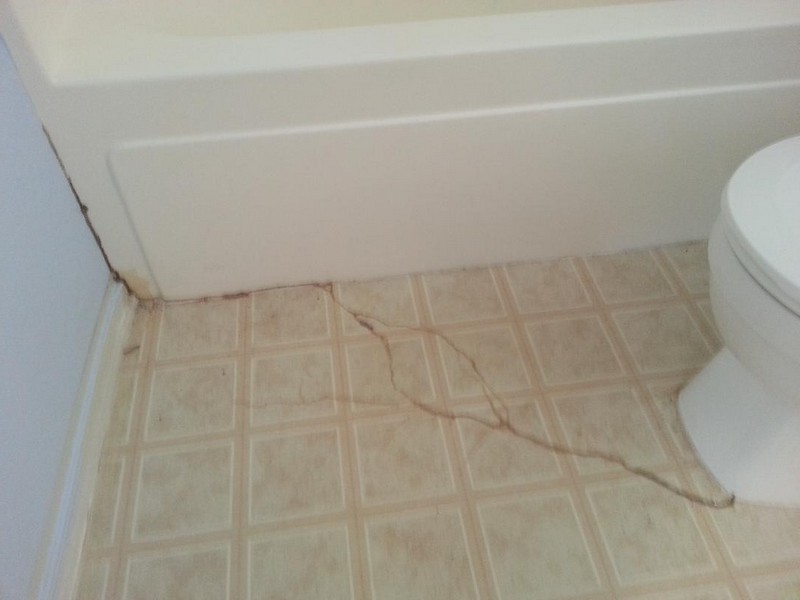 Termites In Bathroom Floor