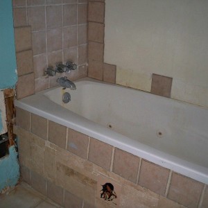 Termites In Bathroom Tub