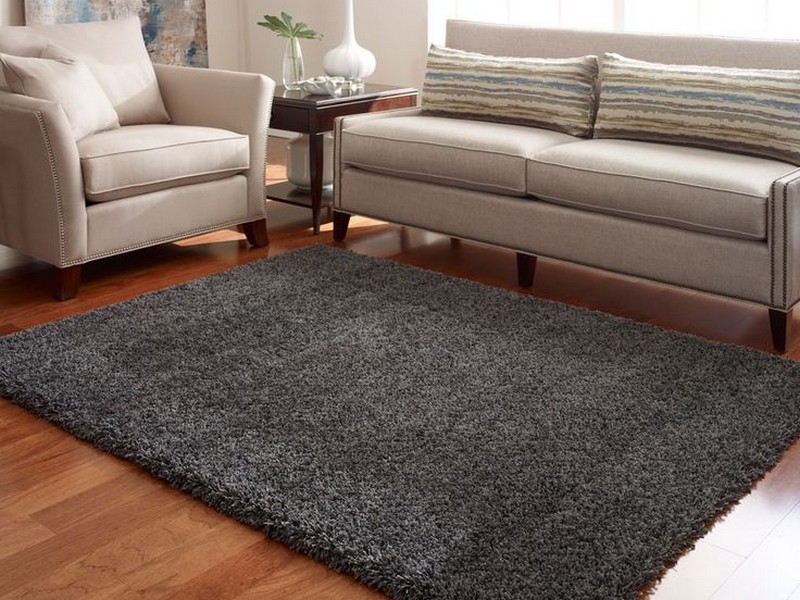 Thomasville Area Rugs