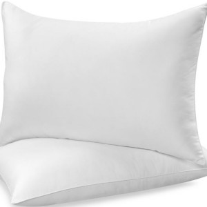 Top Rated Pillows Bed Bath And Beyond