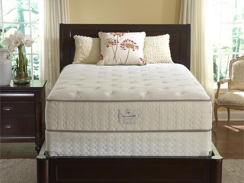 Twin Long Mattress Size