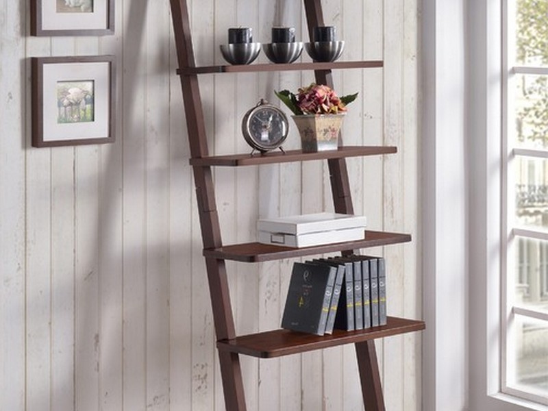 Wall Ladder Shelf