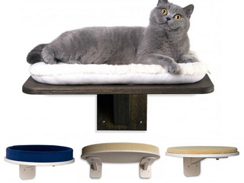 Wall Shelves For Cats