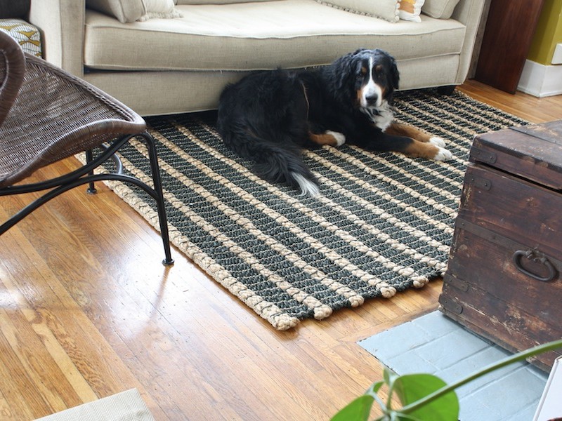 West Elm Jute Rug