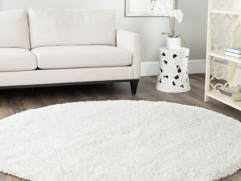 White Shag Area Rug