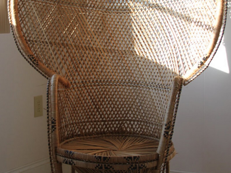 Wicker Fan Back Chairs