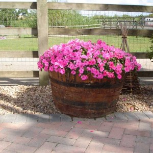 Wooden Barrel Planters