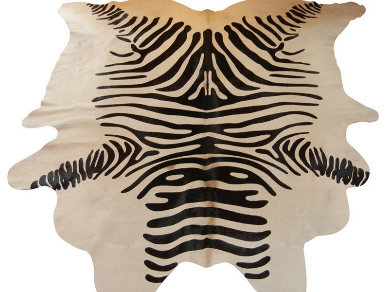 Zebra Print Area Rugs Target